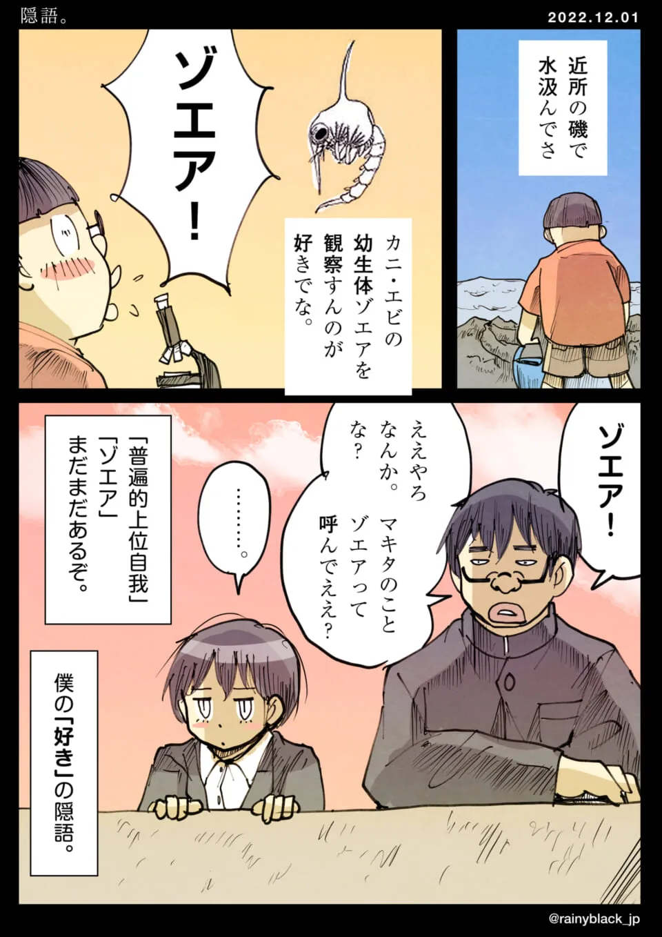 少年が磯で水を汲み幼生体ゾエアを観察する様子