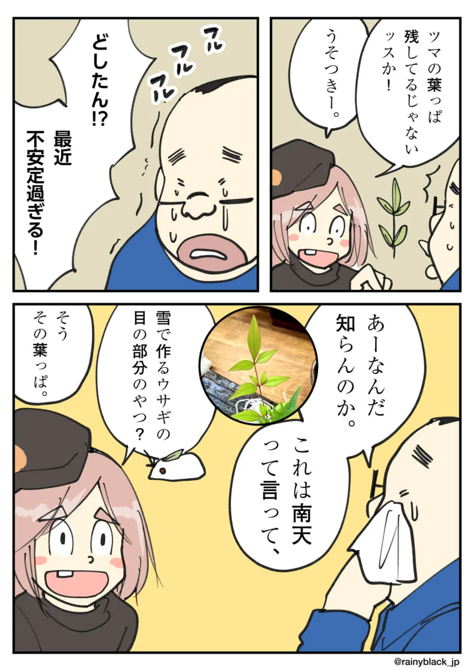 南天の葉を巡る夫婦の誤解