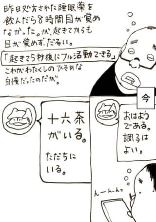 今朝の活動