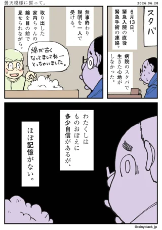 曇天模様に誓って