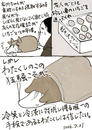 友人から届いた夏のいちごを巡る日常を描いた手書き漫画