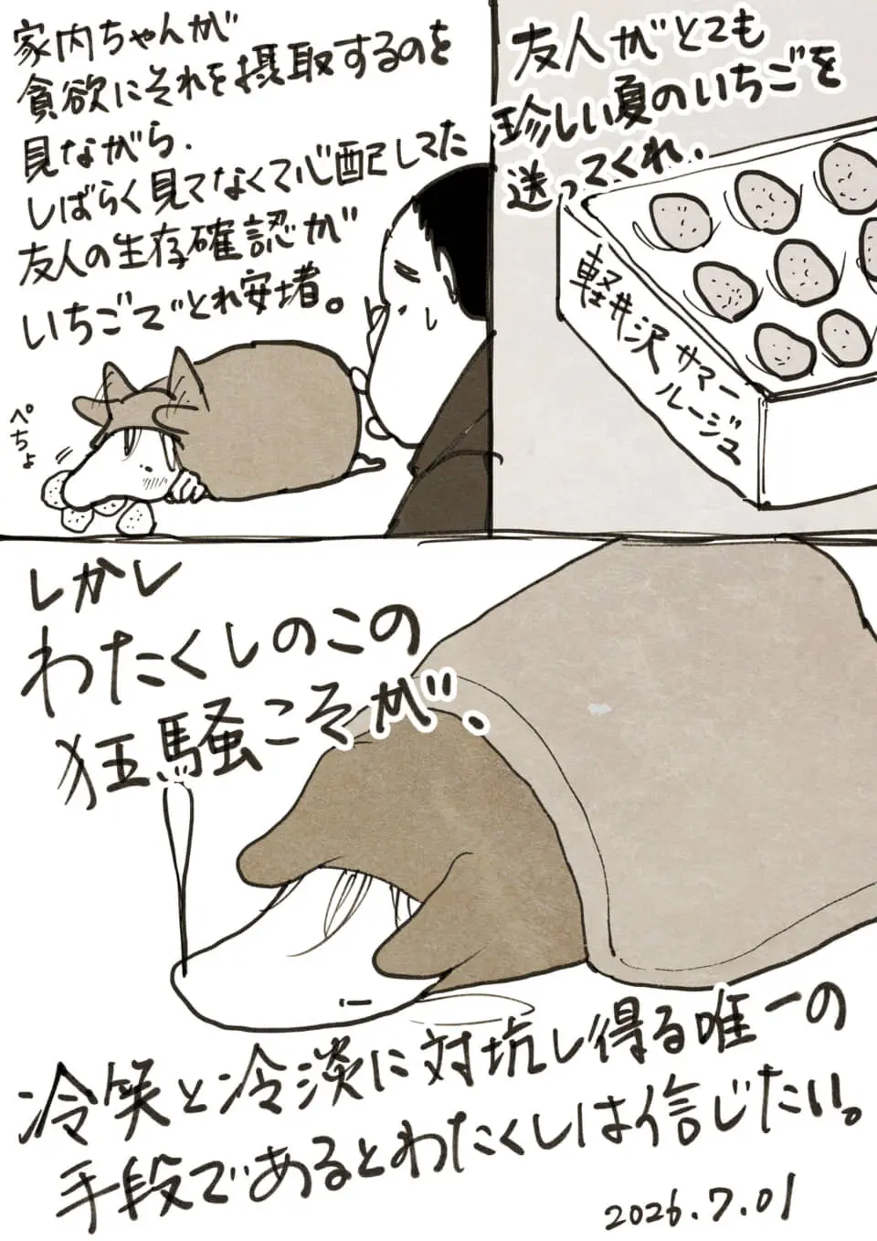 友人から届いた夏のいちごを巡る日常を描いた手書き漫画